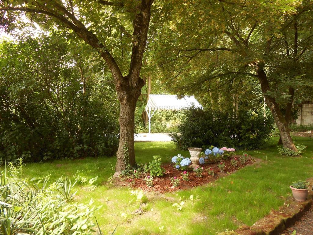 Clos Du Bois Brard B&B Saumur Exterior foto